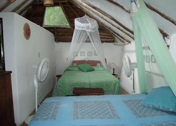 Casitas Kinsol