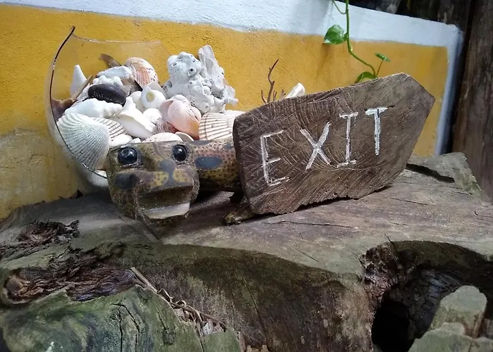 Casitas Kinsol 2*