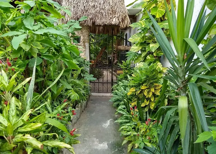 Casitas Kinsol Puerto Morelos