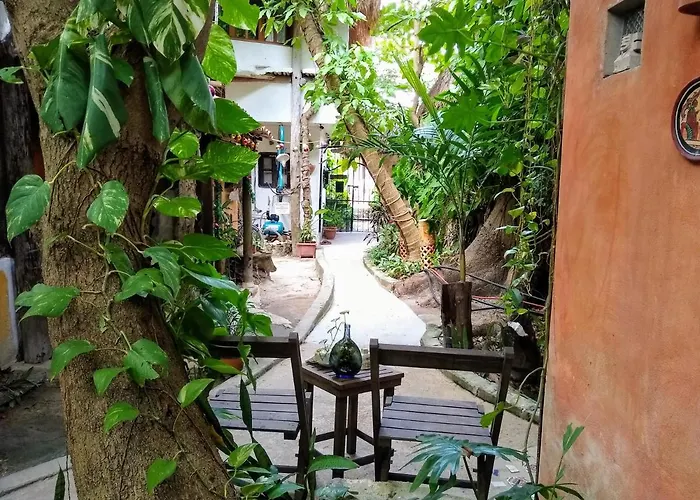 Casitas Kinsol 2*